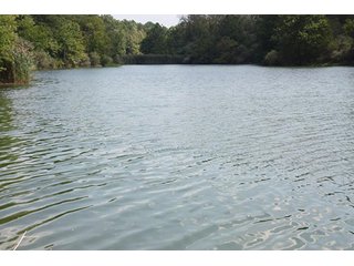 Property photo 77 - 419 +/- Acres offered in 6 Tracts, Land Auction